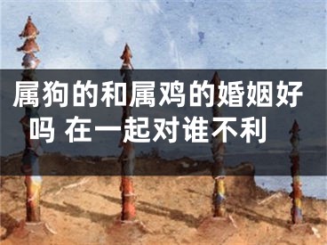 属狗的和属鸡的婚姻好吗 在一起对谁不利