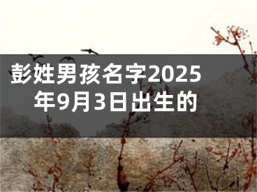 彭姓男孩名字2025年9月3日出生的