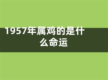 1957年属鸡的是什么命运
