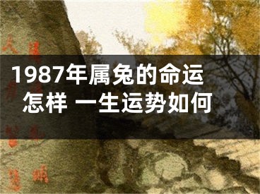 1987年属兔的命运怎样 一生运势如何