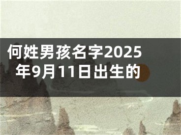 何姓男孩名字2025年9月11日出生的