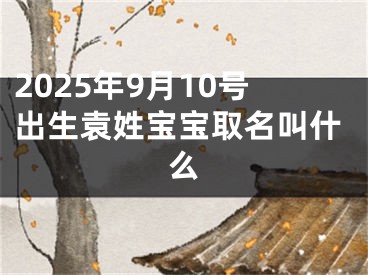 2025年9月10号出生袁姓宝宝取名叫什么