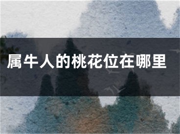 属牛人的桃花位在哪里