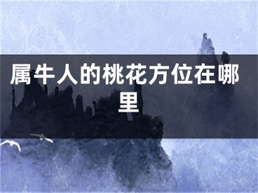 属牛人的桃花方位在哪里