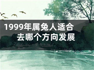 1999年属兔人适合去哪个方向发展