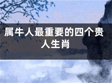 属牛人最重要的四个贵人生肖
