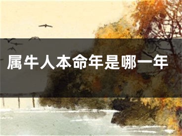 属牛人本命年是哪一年