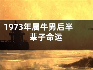 1973年属牛男后半辈子命运