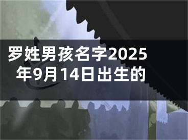 罗姓男孩名字2025年9月14日出生的