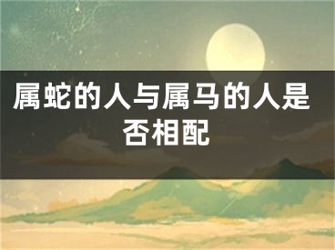 属蛇的人与属马的人是否相配