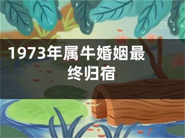 1973年属牛婚姻最终归宿