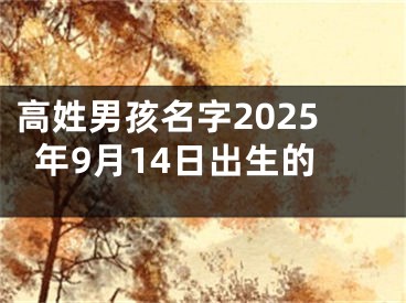 高姓男孩名字2025年9月14日出生的