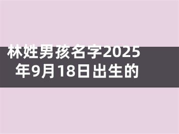 林姓男孩名字2025年9月18日出生的