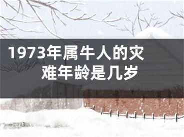 1973年属牛人的灾难年龄是几岁
