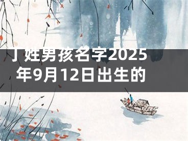 丁姓男孩名字2025年9月12日出生的