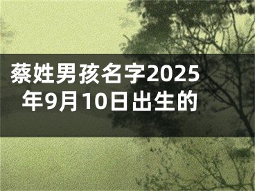 蔡姓男孩名字2025年9月10日出生的
