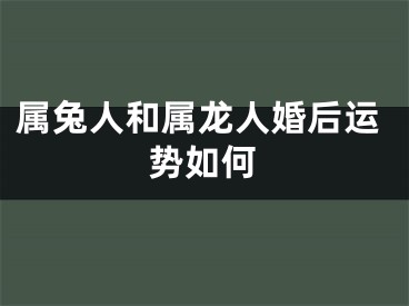 属兔人和属龙人婚后运势如何