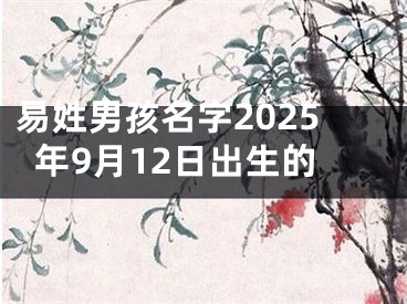 易姓男孩名字2025年9月12日出生的