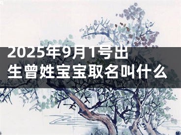 2025年9月1号出生曾姓宝宝取名叫什么