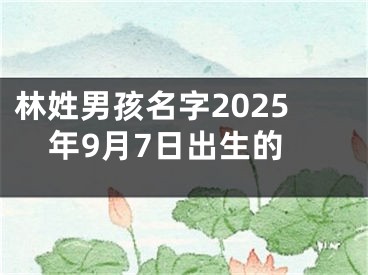 林姓男孩名字2025年9月7日出生的