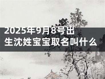 2025年9月8号出生沈姓宝宝取名叫什么