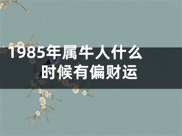 1985年属牛人什么时候有偏财运