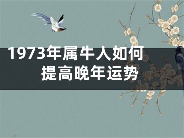 1973年属牛人如何提高晚年运势