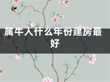 属牛人什么年份建房最好