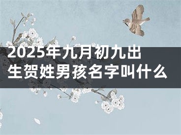 2025年九月初九出生贺姓男孩名字叫什么