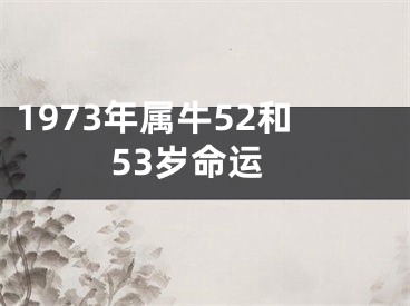 1973年属牛52和53岁命运