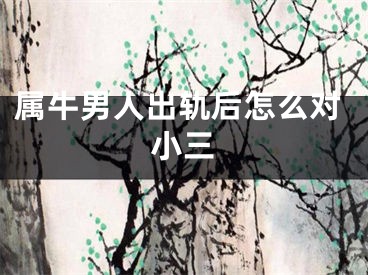 属牛男人出轨后怎么对小三