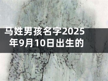 马姓男孩名字2025年9月10日出生的