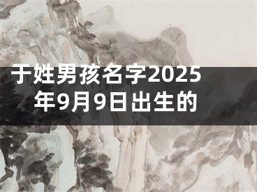 于姓男孩名字2025年9月9日出生的