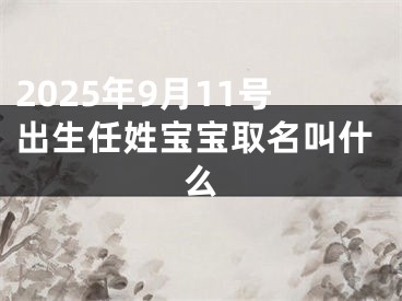 2025年9月11号出生任姓宝宝取名叫什么