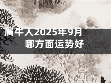 属牛人2025年9月哪方面运势好