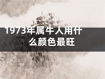 1973年属牛人用什么颜色最旺
