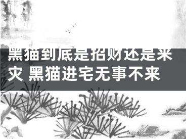 黑猫到底是招财还是来灾 黑猫进宅无事不来