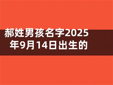 郝姓男孩名字2025年9月14日出生的