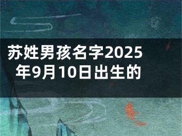 苏姓男孩名字2025年9月10日出生的