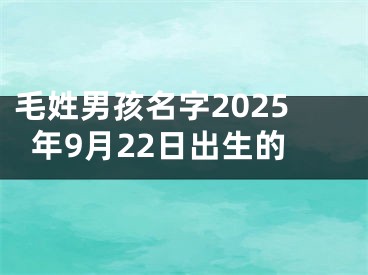 毛姓男孩名字2025年9月22日出生的