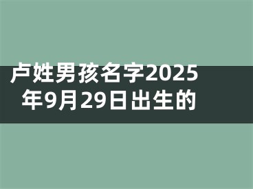 卢姓男孩名字2025年9月29日出生的