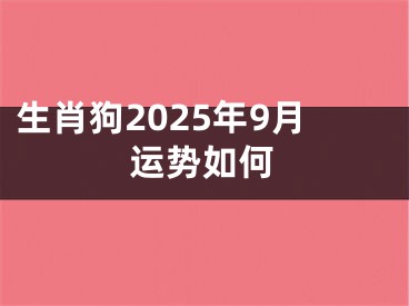 生肖狗2025年9月运势如何