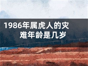 1986年属虎人的灾难年龄是几岁
