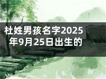 杜姓男孩名字2025年9月25日出生的