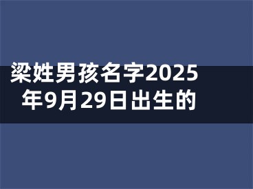 梁姓男孩名字2025年9月29日出生的