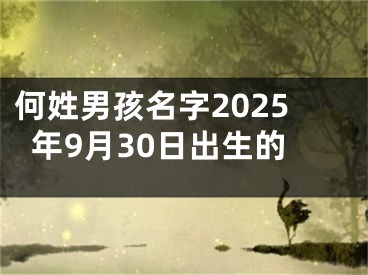何姓男孩名字2025年9月30日出生的