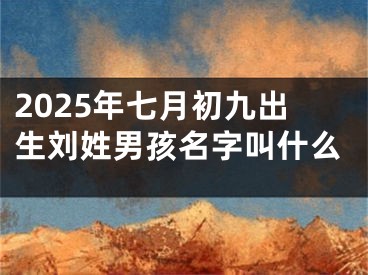 2025年七月初九出生刘姓男孩名字叫什么
