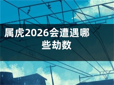 属虎2026会遭遇哪些劫数