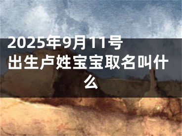 2025年9月11号出生卢姓宝宝取名叫什么