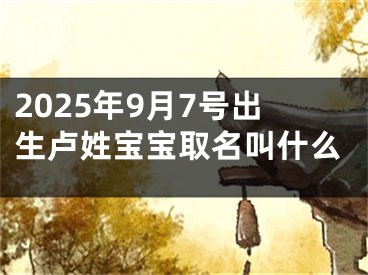 2025年9月7号出生卢姓宝宝取名叫什么